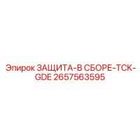 2657563595 ЗАЩИТА-В СБОРЕ-TCK-GDE Epiroc
