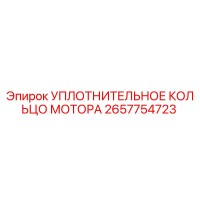 2657754723 УПЛОТНИТЕЛЬНОЕ КОЛЬЦО МОТОРА Epiroc