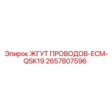 2657807596 ЖГУТ ПРОВОДОВ-ECM-QSK19 Epiroc