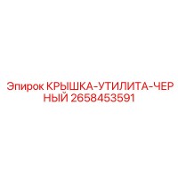 2658453591 КРЫШКА-УТИЛИТА-ЧЕРНЫЙ (Epiroc)