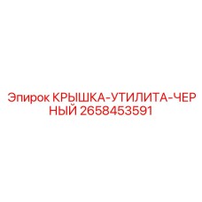 2658453591 КРЫШКА-УТИЛИТА-ЧЕРНЫЙ (Epiroc)