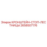 2658507176 КРОНШТЕЙН-СТОП-ЛЕСТНИЦЫ Epiroc