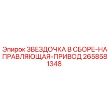 2658581348 ЗВЕЗДОЧКА В СБОРЕ-НАПРАВЛЯЮЩАЯ-ПРИВОД Epiroc