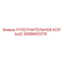 2658662079 УПЛОТНИТЕЛЬНОЕ КОЛЬЦО Epiroc