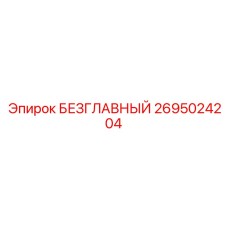 2695024204 БЕЗГЛАВНЫЙ Epiroc