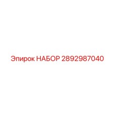 2892987040 НАБОР Epiroc