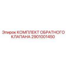 2901001450 КОМПЛЕКТ ОБРАТНОГО КЛАПАНА Epiroc