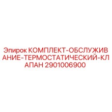 2901006900 Комплект Обслуживания Термостатический Клапан Epiroc