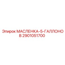 2901051700 МАСЛЕНКА-5-ГАЛЛОНОВ Epiroc