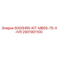 2901901100 6000HRS-KIT-MB55-75-X-IVR Epiroc