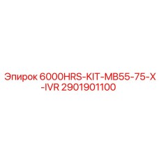 2901901100 6000HRS-KIT-MB55-75-X-IVR Epiroc