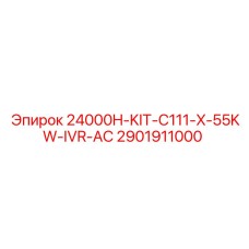 2901911000 24000H-KIT-C111-X-55KW-IVR-AC Epiroc