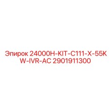 2901911300 24000H-KIT-C111-X-55KW-IVR-AC Epiroc