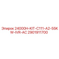 2901911700 24000H-KIT-C111-A2-55KW-IVR-AC Epiroc