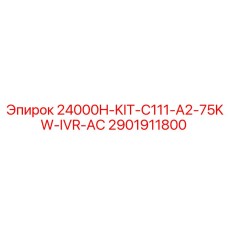 2901911800 24000H-KIT-C111-A2-75KW-IVR-AC Epiroc