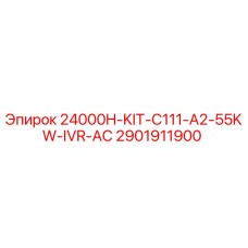 2901911900 24000H-KIT-C111-A2-55KW-IVR-AC Epiroc