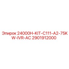 2901912000 24000H-KIT-C111-A2-75KW-IVR-AC Epiroc