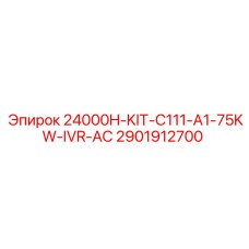 2901912700 24000H-KIT-C111-A1-75KW-IVR-AC Epiroc