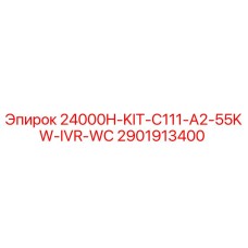 2901913400 - 24000H-KIT-C111-A2-55KW-IVR-WC (Epiroc)