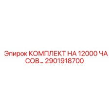 2901918700 КОМПЛЕКТ НА 12000 ЧАСОВ Epiroc