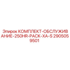 Сервисный набор Epiroc 2905059501 250HR Pack XA-S