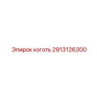 2913126300 Коготь Epiroc