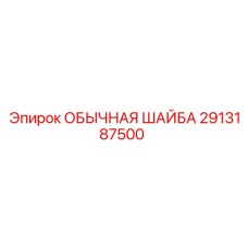2913187500 ОБЫЧНАЯ ШАЙБА Эпирок