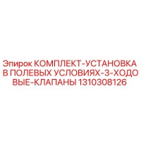 1310308126 КОМПЛЕКТ-УСТАНОВКА В ПОЛЕВЫХ УСЛОВИЯХ-3-ХОДОВЫЕ-КЛАПАНЫ Epiroc