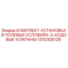1310308126 КОМПЛЕКТ-УСТАНОВКА В ПОЛЕВЫХ УСЛОВИЯХ-3-ХОДОВЫЕ-КЛАПАНЫ Epiroc