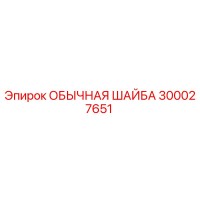300027651 ОБЫЧНАЯ ШАЙБА Epiroc