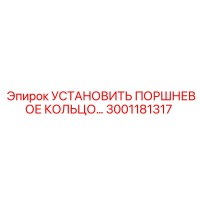 3001181317 УСТАНОВИТЬ ПОРШНЕВОЕ КОЛЬЦО (Epiroc)