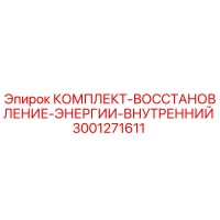 3001271611 КОМПЛЕКТ-ВОССТАНОВЛЕНИЕ-ЭНЕРГИИ-ВНУТРЕННИЙ Эпирок