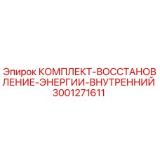 3001271611 КОМПЛЕКТ-ВОССТАНОВЛЕНИЕ-ЭНЕРГИИ-ВНУТРЕННИЙ Эпирок