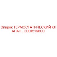3001516600 ТЕРМОСТАТИЧЕСКИЙ КЛАПАН Epiroc
