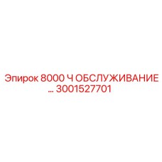 3001527701 8000 Ч ОБСЛУЖИВАНИЕ Epiroc