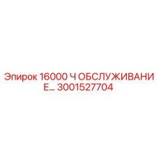 3001527704 16000 Ч ОБСЛУЖИВАНИЕ… | Epiroc