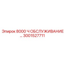 3001527711 8000 Ч ОБСЛУЖИВАНИЕ Epiroc