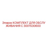 3001530600 КОМПЛЕКТ ДЛЯ ОБСЛУЖИВАНИЯ C Epiroc