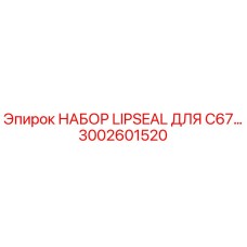 3002601520 НАБОР LIPSEAL ДЛЯ C67… Epiroc
