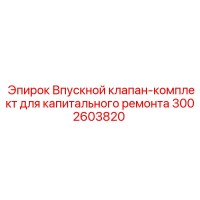 3002603820 Впускной клапан-комплект для капитального ремонта Epiroc