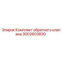 3002603830 Комплект обратного клапана Epiroc