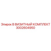 3002604950 B ВИЗИТНЫЙ КОМПЛЕКТ Epiroc