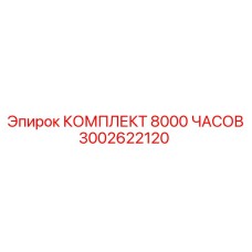 3002622120 КОМПЛЕКТ 8000 ЧАСОВ by Epiroc