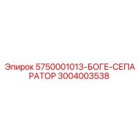 3004003538 5750001013 БОГЕ СЕПАРАТОР Epiroc