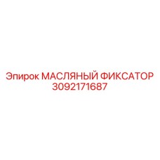 3092171687 МАСЛЯНЫЙ ФИКСАТОР (Epiroc)