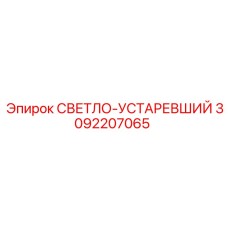 3092207065 СВЕТЛО-УСТАРЕВШИЙ Epiroc