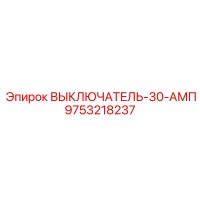 9753218237 ВЫКЛЮЧАТЕЛЬ-30-АМП Epiroc