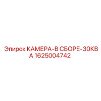 1625004742 КАМЕРА-В СБОРЕ-30КВА Epiroc