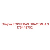 3176448702 ТОРЦЕВАЯ ПЛАСТИНА Epiroc