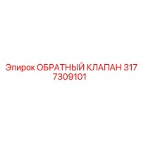 3177309101 ОБРАТНЫЙ КЛАПАН Epiroc
